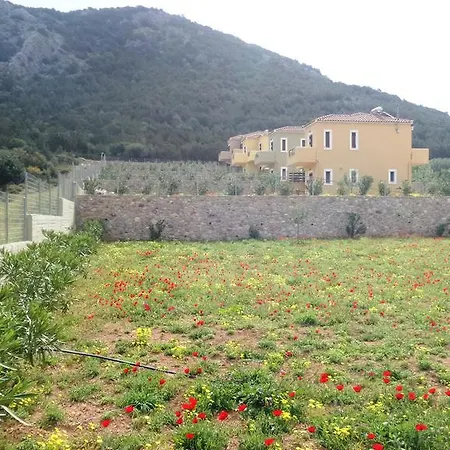 Holiday home Gr8 Luxury Villas Ermioni